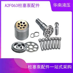 力士乐斜轴式柱塞泵A2FO63 A2FM63 A3FE63中联吊车液压泵维修配件
